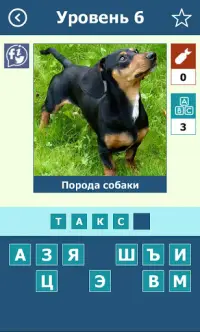 Породы собак: Викторина Screen Shot 3