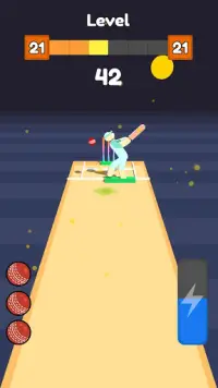 Cricket Bowling Screen Shot 1