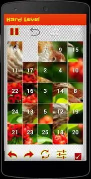 Birds Puzzle Screen Shot 5