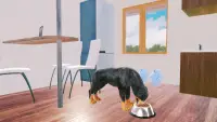 Rottweiler Dog Simulator Screen Shot 2