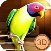 Birdy Pet - Parrot Life Simulator