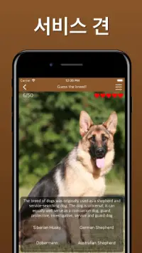 개 품종 개 퀴즈 추측 - 번식 식별자 앱 게임 Screen Shot 6