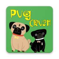 Pug Crush