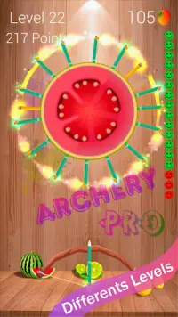 Archery PRO Screen Shot 2
