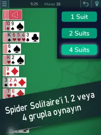 Spider Solitaire -  Solitaire Oyunları Screen Shot 11