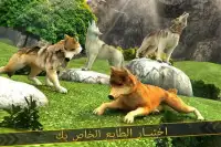 الذئب عشيرة - حيوان بري محاكاة Screen Shot 2