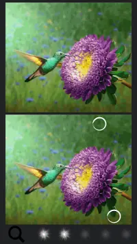 Spot the Difference Birds Screen Shot 10
