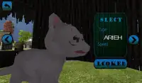 Angry Talking Cat Attack Screen Shot 2