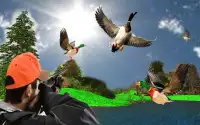 Polowanie na kaczki 2018: Łuczniczy łowca ptaków3D Screen Shot 1