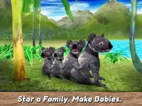 코알라 가족 시뮬레이터 - 호주 야생 동물을 시험해보십시오! Screen Shot 10