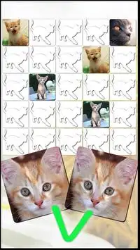 Cat Games Free Puzzles Screen Shot 1