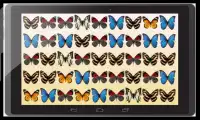 Monarch Butterfly Game Screen Shot 4