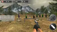 Bottle Shoot Game 3D 2017 Screen Shot 1