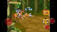 Arcade Classic : Warriors of Fate Screen Shot 3