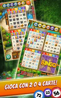 Bingo Quest: Summer Adventure Screen Shot 14