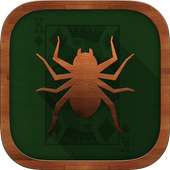 Spider Solitaire