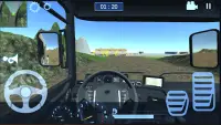 Realistic Truck Simulator - New City Screen Shot 5