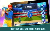 Cricket - The Legend Batsman Screen Shot 1