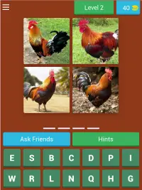 Birds Quiz Screen Shot 14