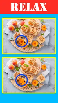 Spot The Difference Game Screen Shot 1