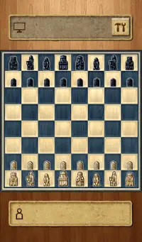 Chess Master Free Screen Shot 2