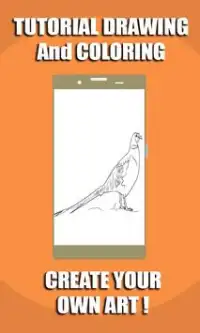 TutorialDrawing: Pheasant Free Drawing & Coloring Screen Shot 2