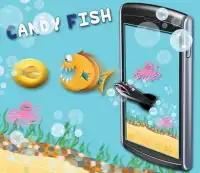 Candy Fish Screen Shot 0