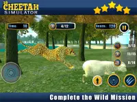 Angry Cheetah Wild Attack Sim Screen Shot 4