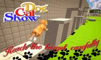 Dog Cat Stunts Simulator Screen Shot 2