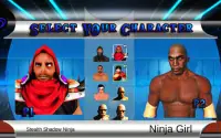 Ninja Deadly Kung Fu Fighting Tiger Game Screen Shot 13