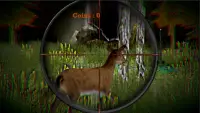 2020 हिरण शिकार क्लासिक अफ्रीकी 3 डी स्पोर्ट शूटर Screen Shot 15