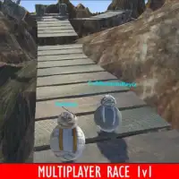 Robo Race 3D Online Screen Shot 0