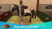 HorseWorld - Mijn paard Screen Shot 0