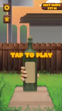 Bottle Cap Challenge Screen Shot 1