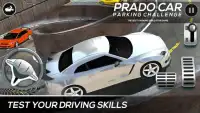 Prado Car Parking Challenge Screen Shot 1