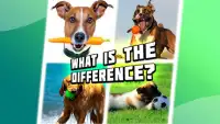 4 pictures 1 odd: dogs & pets, find the difference Screen Shot 2