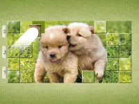 Dog Puzzles - Drag & Swap Screen Shot 13