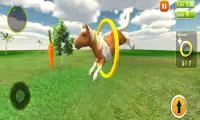 Pony Horse Simulator 3D Anak Screen Shot 2