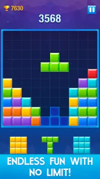 Puzzle Master - Challenge Block Puzzle Screen Shot 1