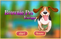 Free New Escape Game 88 Brownie Pet Escape Screen Shot 0
