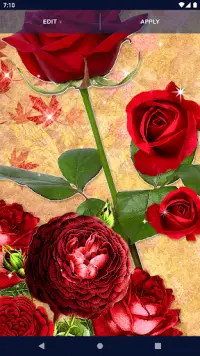 3D Red Rose Live Wallpaper Screen Shot 4