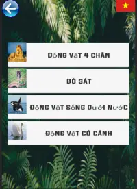 Học tên động vật Screen Shot 6