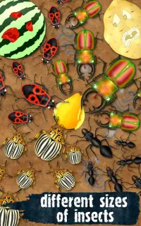 Hexapod لعبة النمل سحق الحشرات البق الخنافس صرصور Screen Shot 6