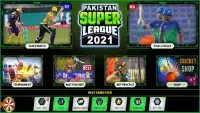 Pakistan Cricket League Game Screen Shot 3