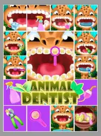 عيادة طبيب أسنان الحيوان Screen Shot 0