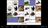 Picture Pairs Screen Shot 5