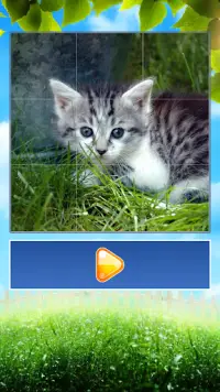 Animals World Tile Puzzle Screen Shot 2