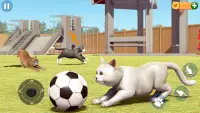 Cat Simulator Offline Cat Game Screen Shot 1