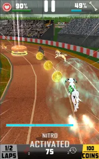 Dog Racing - Pet Racing game Screen Shot 3
