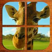 Zoo Animal Puzzle (FREE)